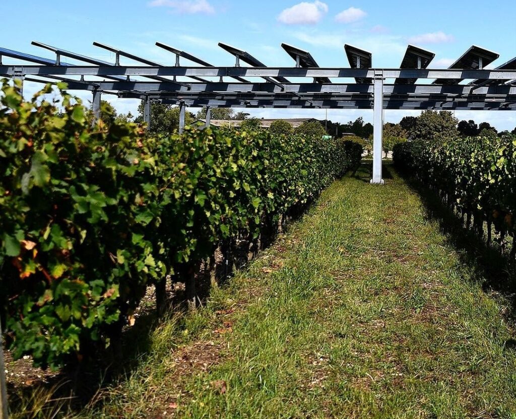 Fotovoltaico sospeso in installazione agricola